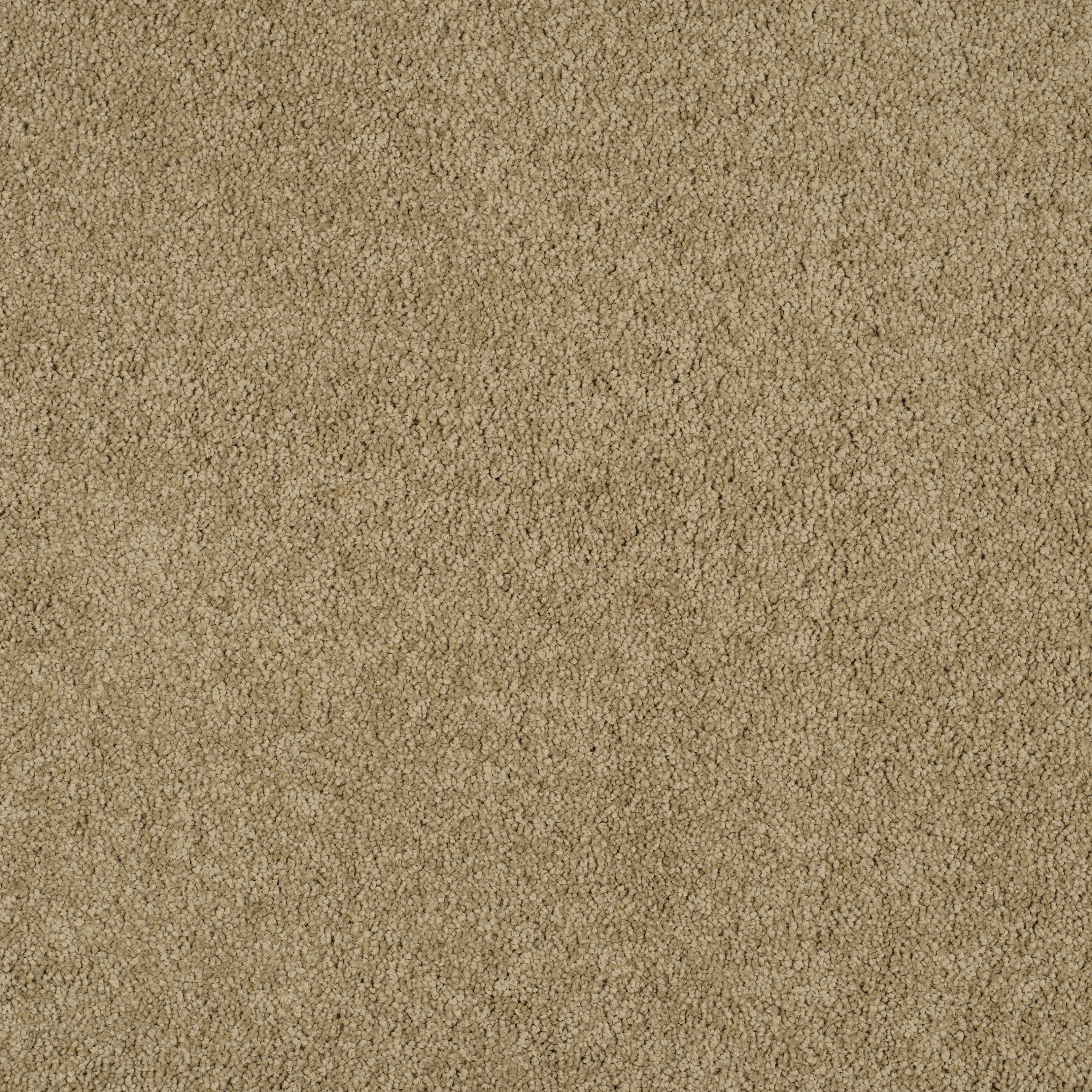 camel coat