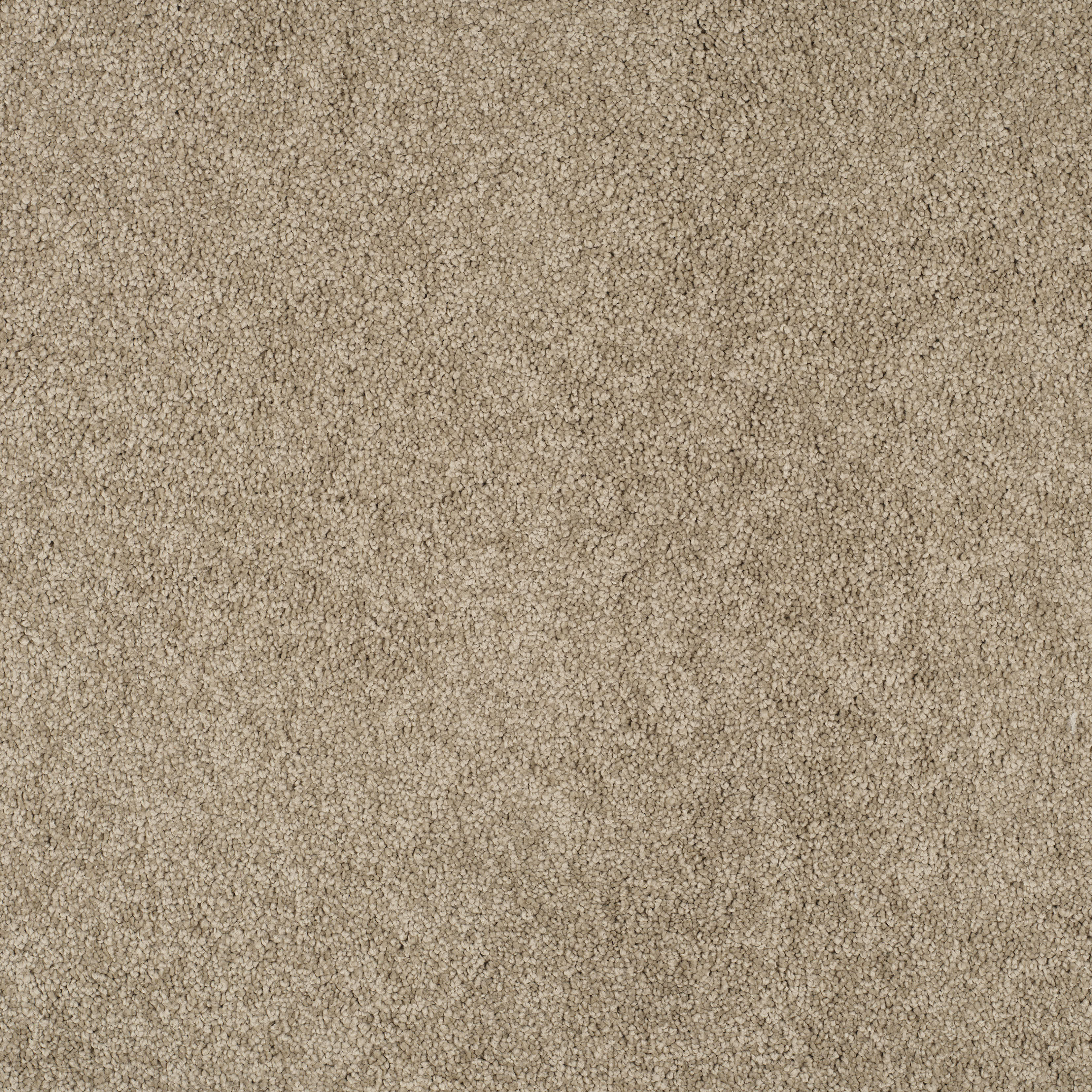 furry beige
