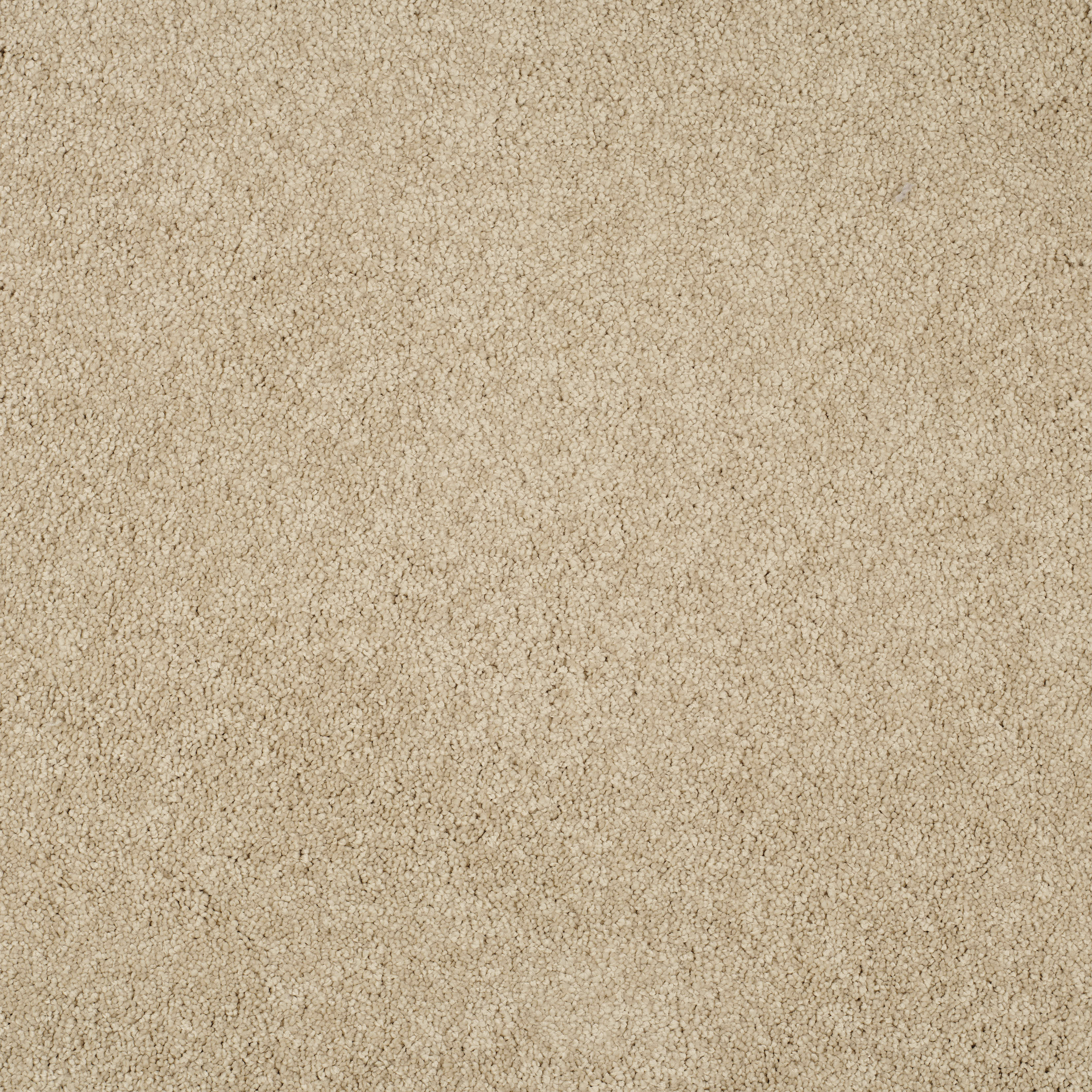 ibis white