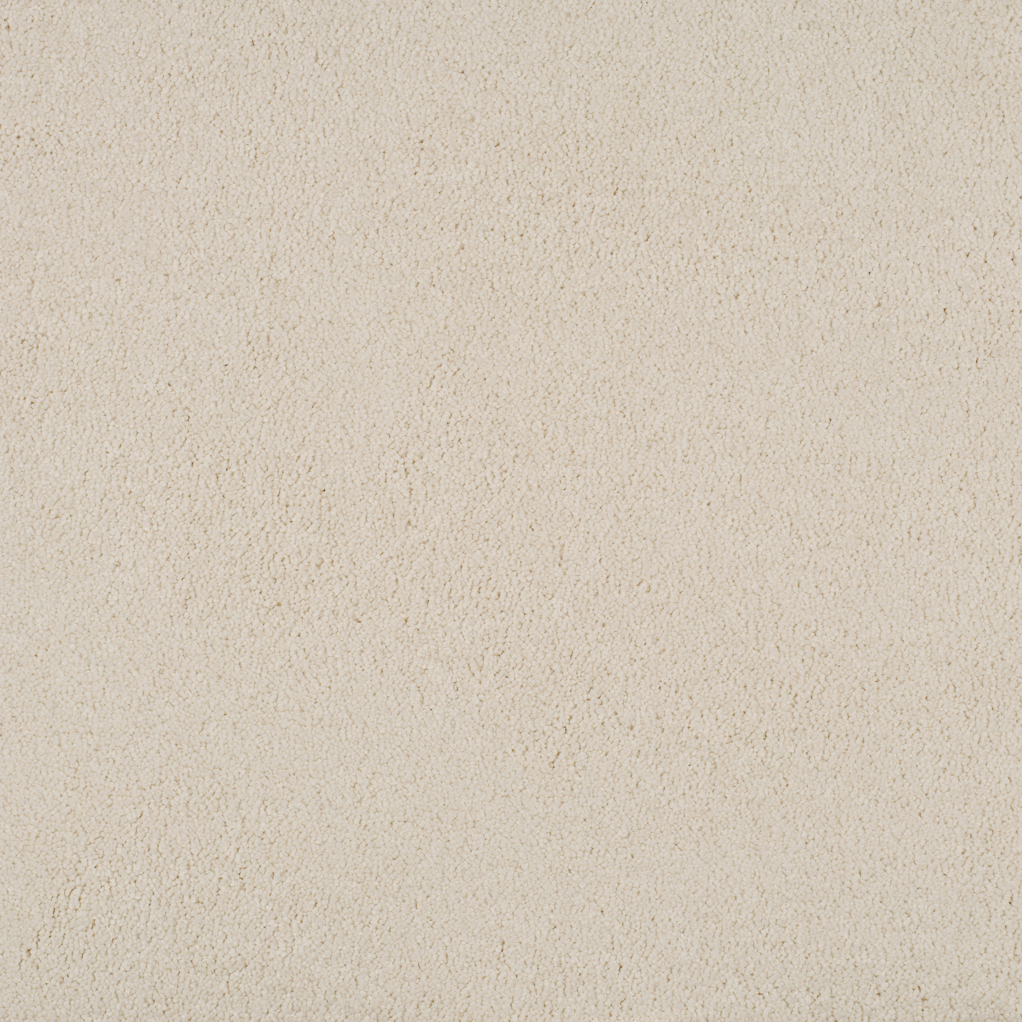 white ivory