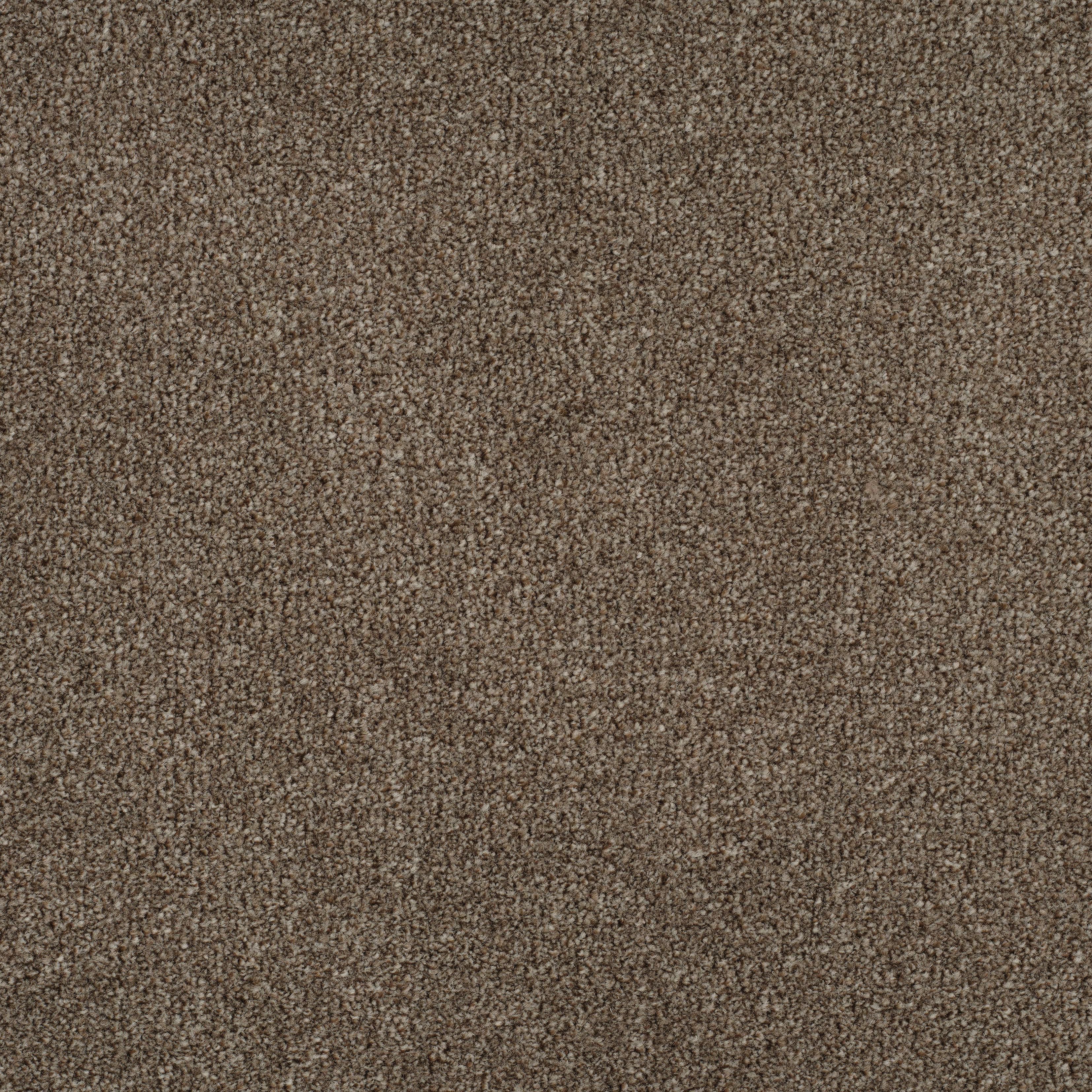tatch brown