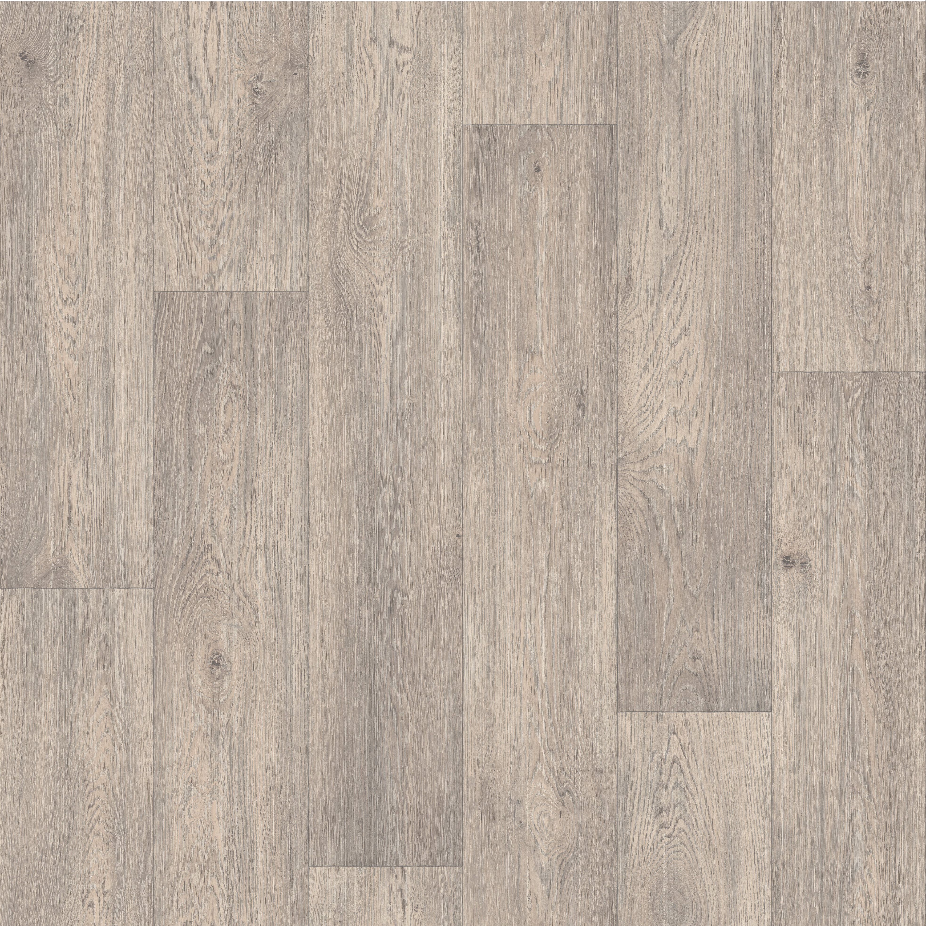expressions - cool oak 4m