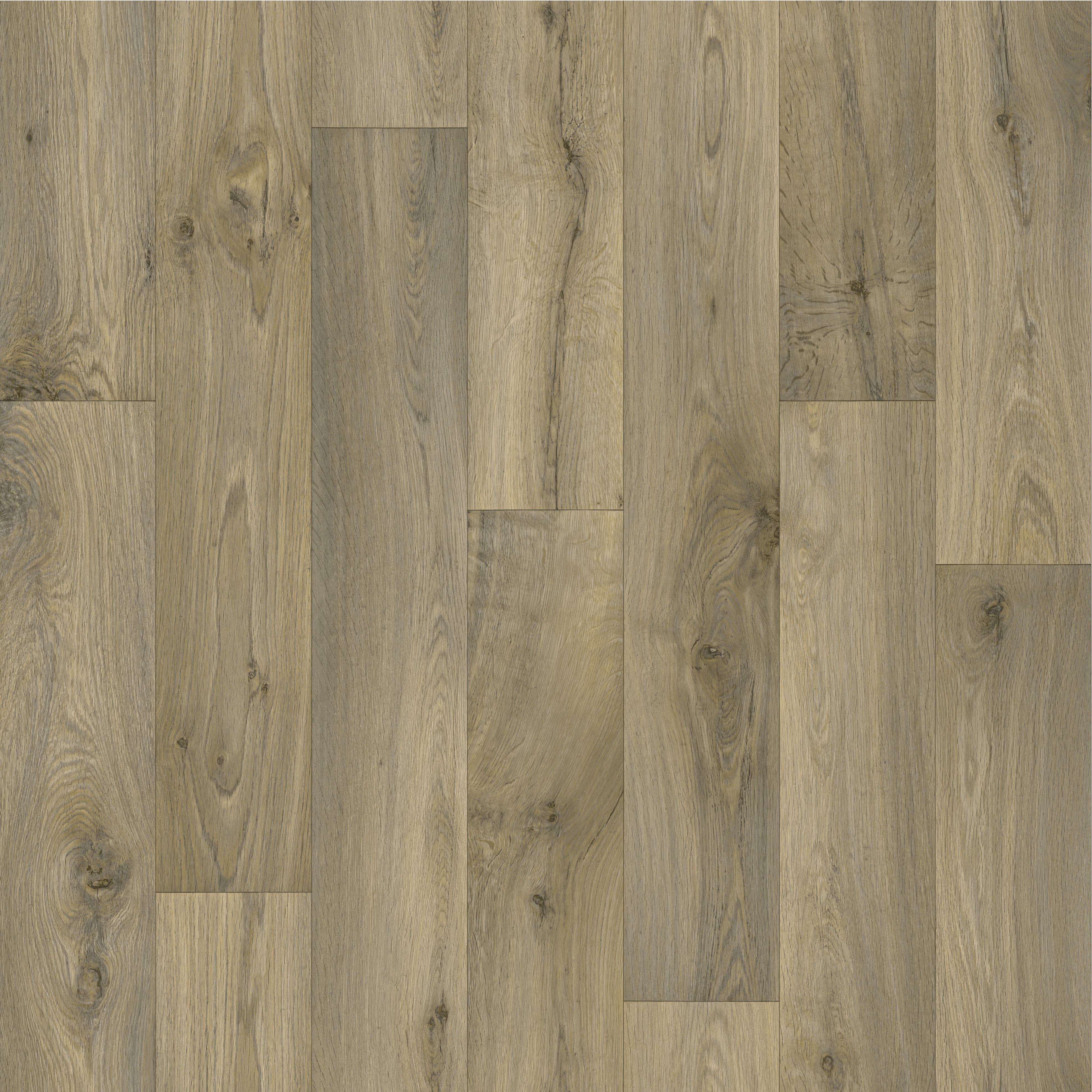 expressions - natural oak 4m