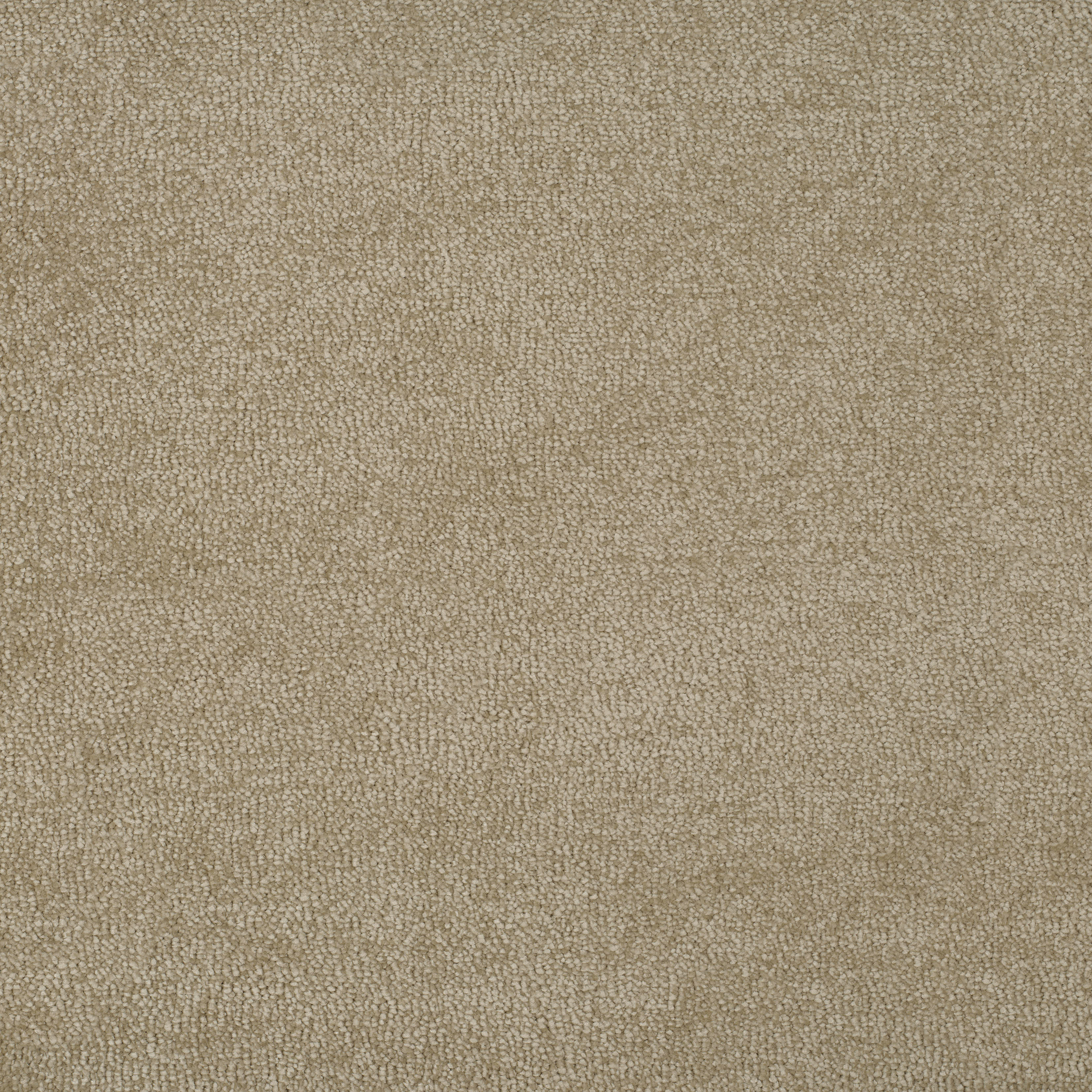 nomad beige