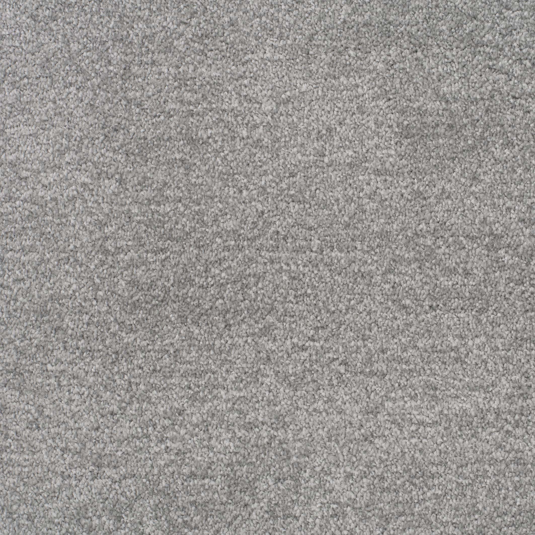 sleet