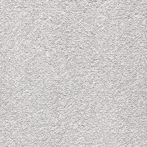 oyster grey