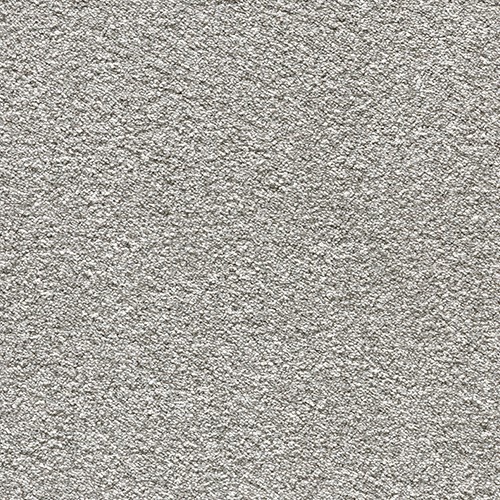 gull grey