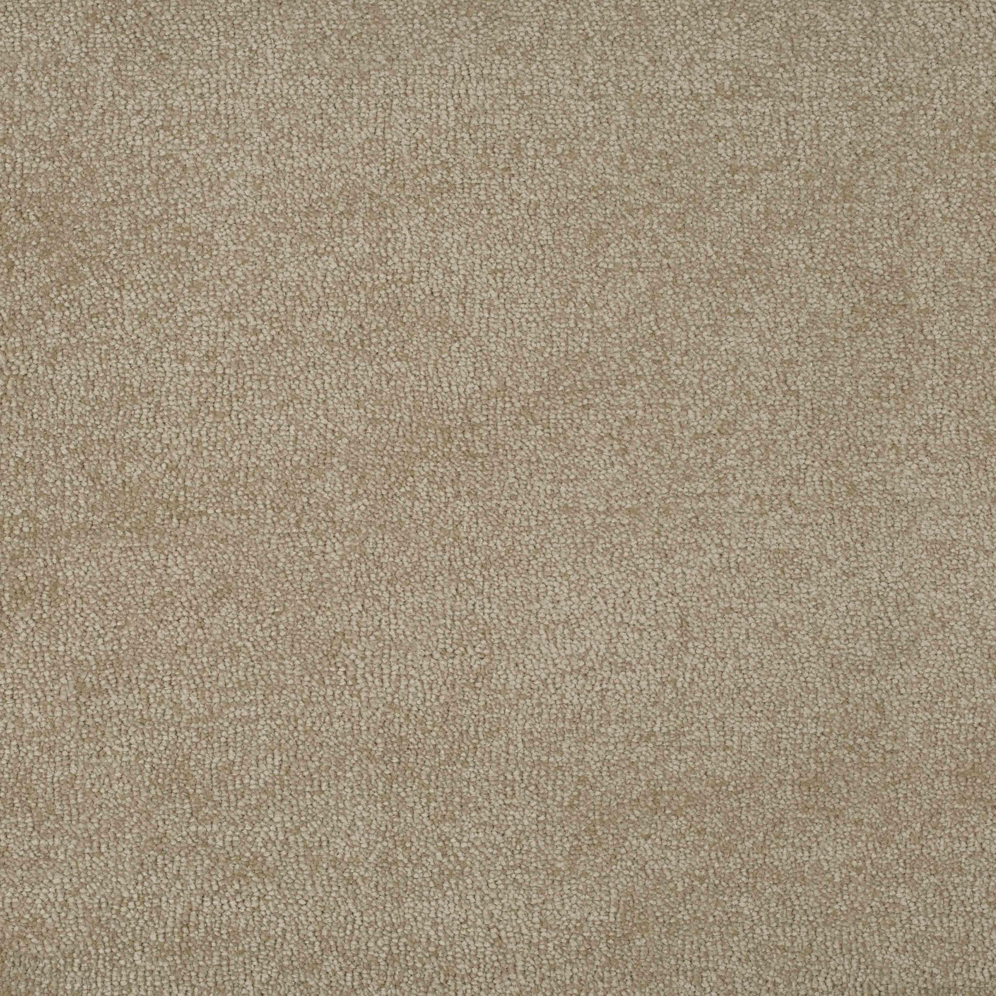 nomad beige