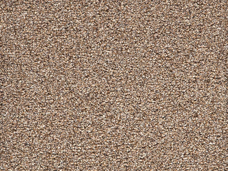 seal brown