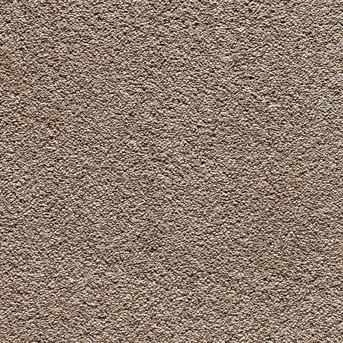 desert sand