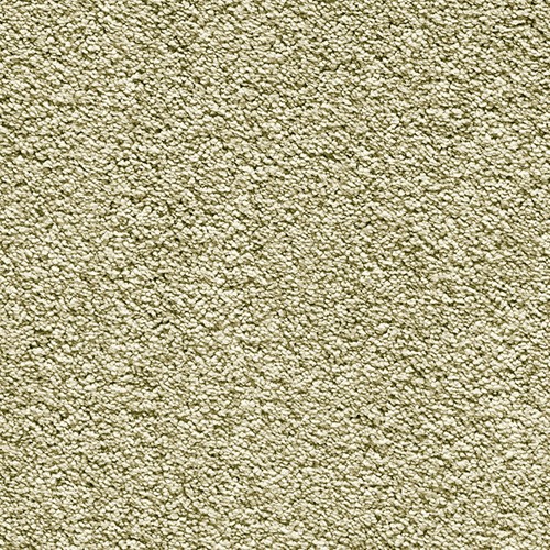 antique moss