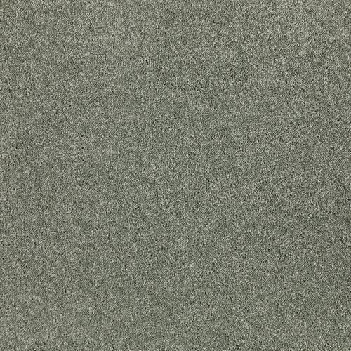 sage tint