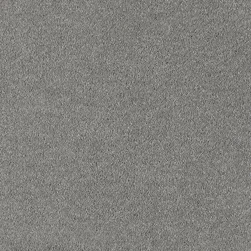 shark skin