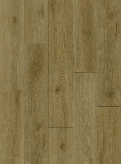 aspire lvt - classical oak
