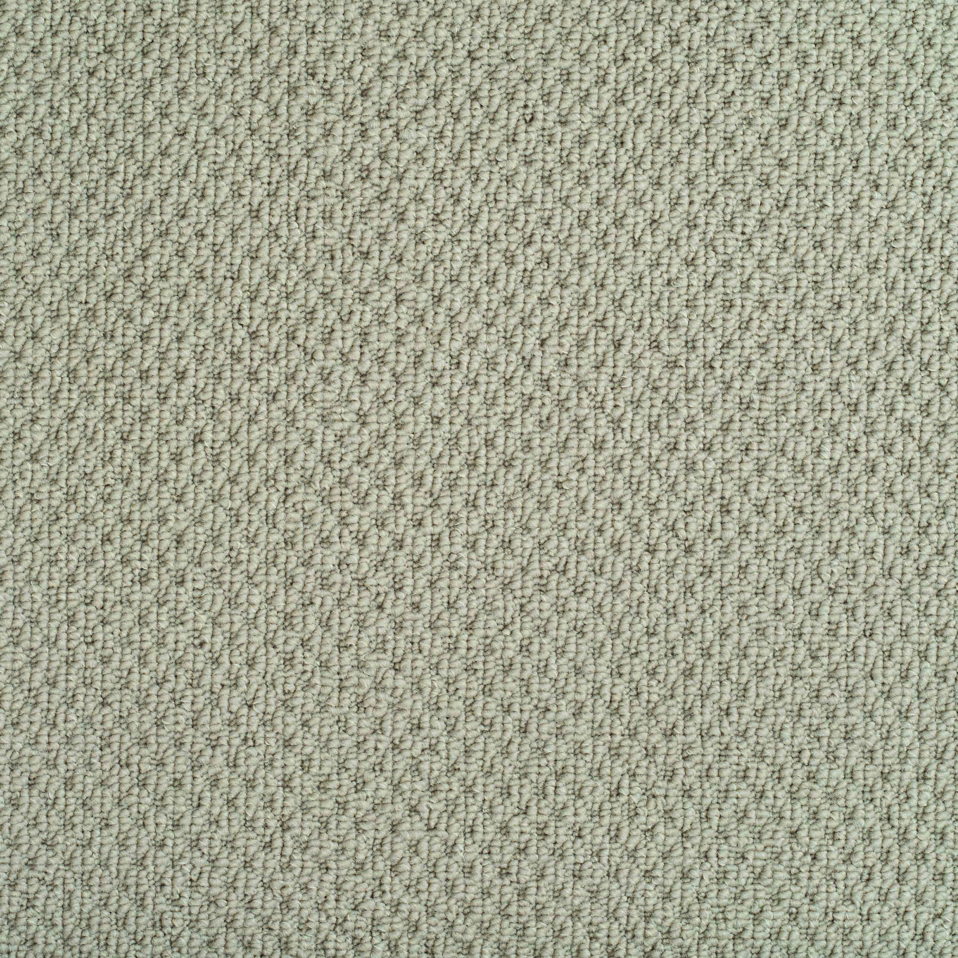 boucle latte