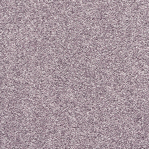 purple brasil