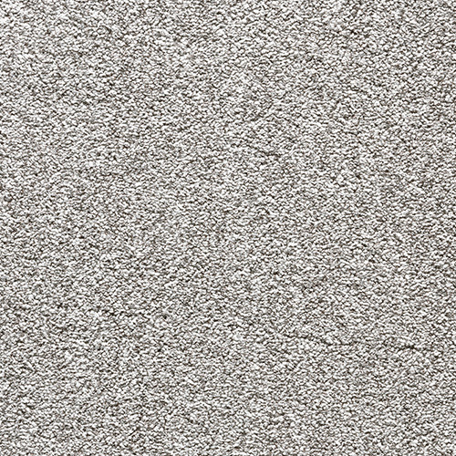 poppy seed