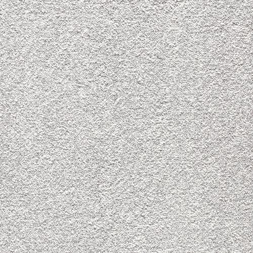 oyster grey