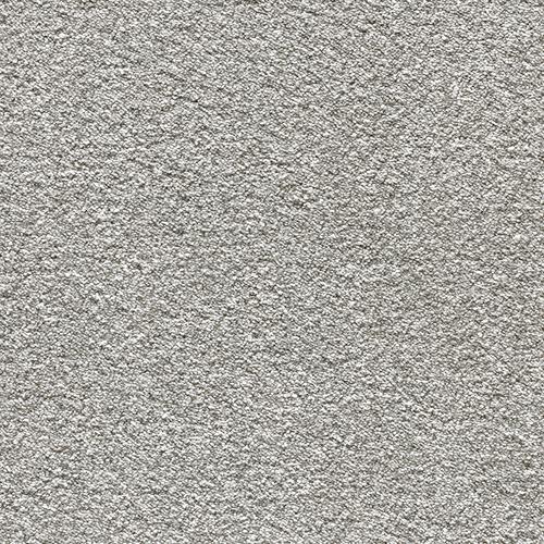 gull grey