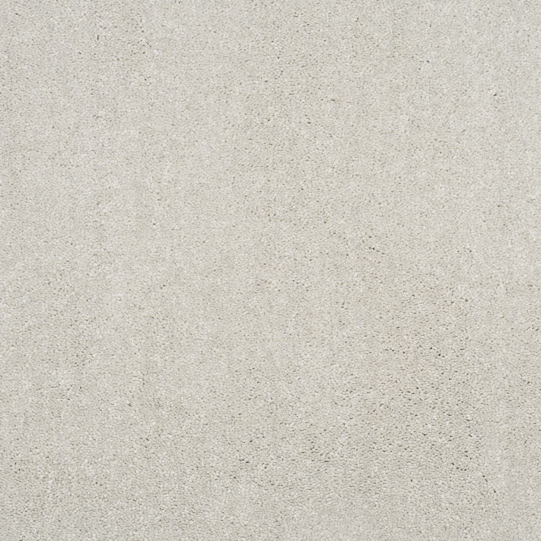 ground mist