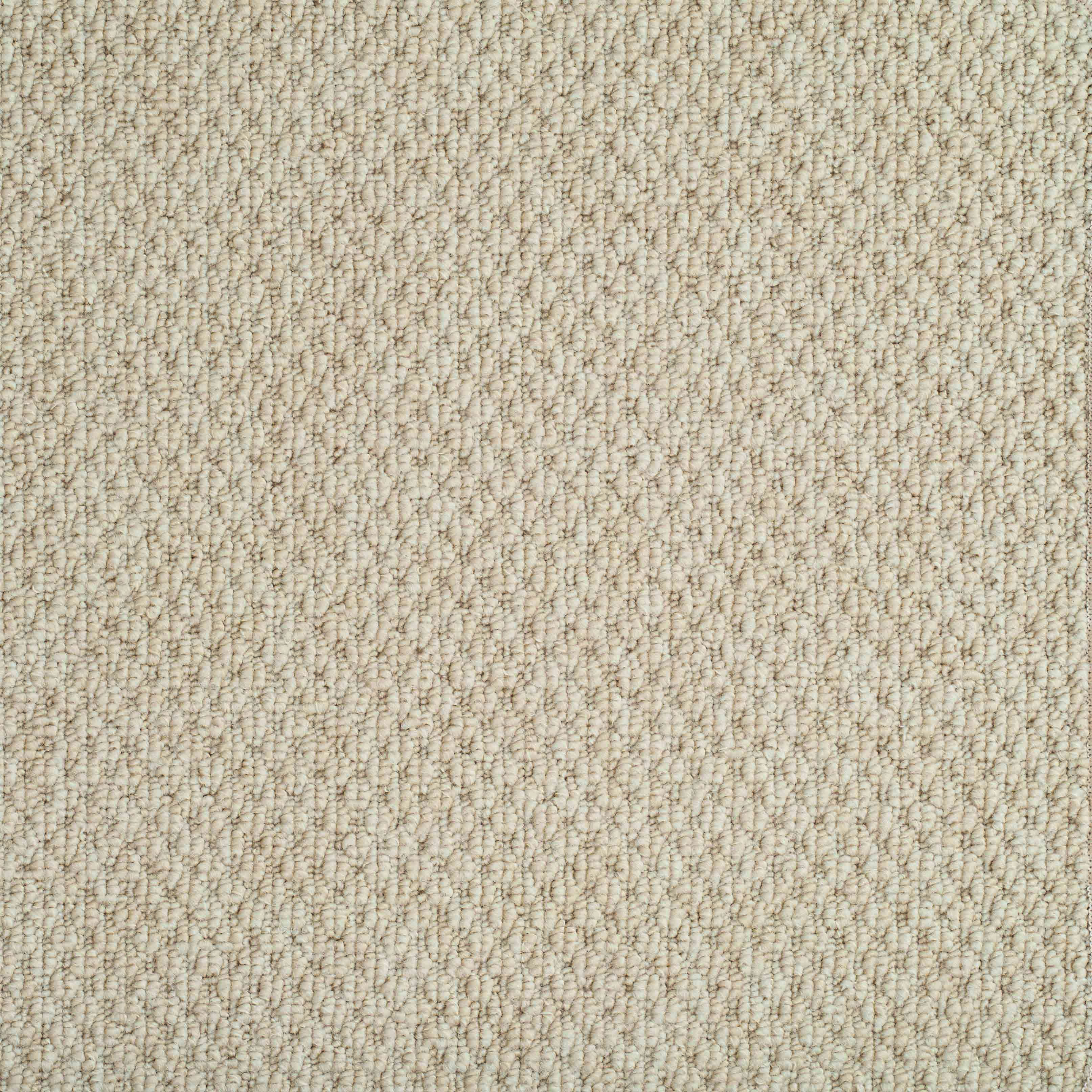 boucle champagne