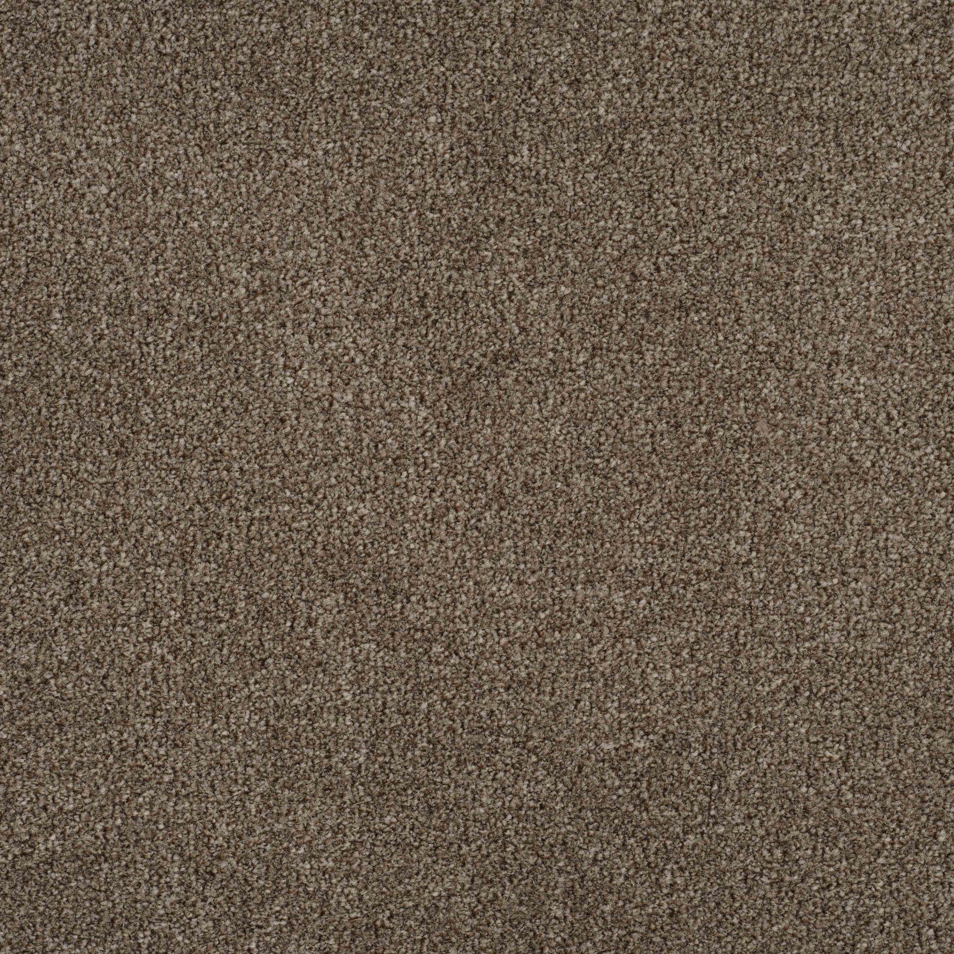 tatch brown