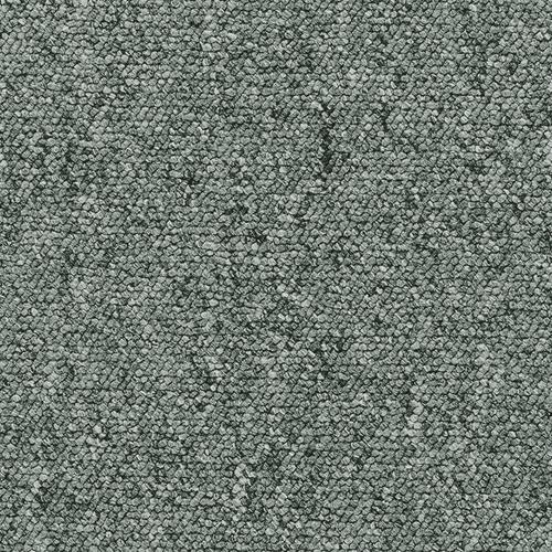 grey whisper