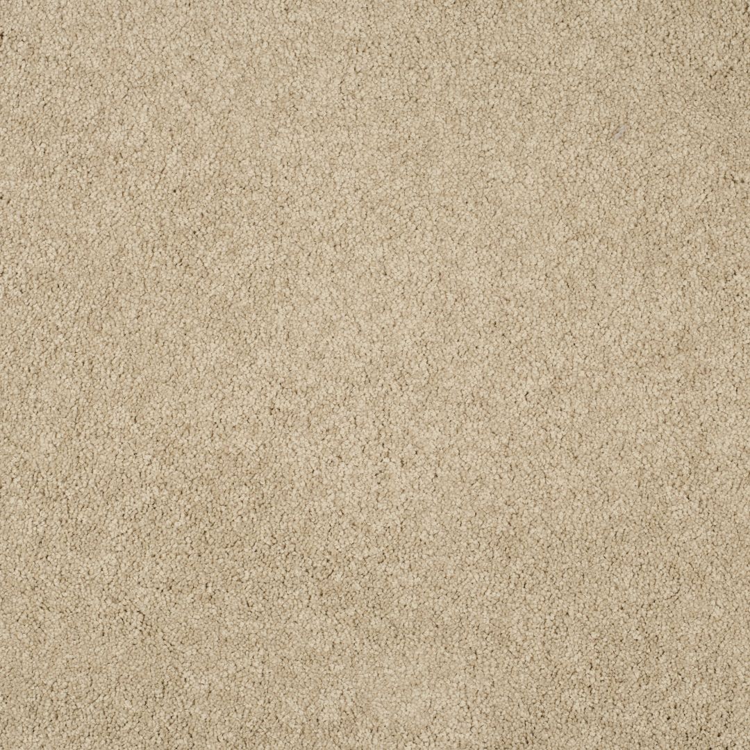 ibis white