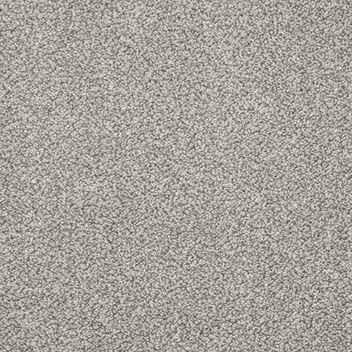 elephant dust