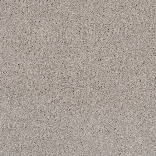 energetic grey