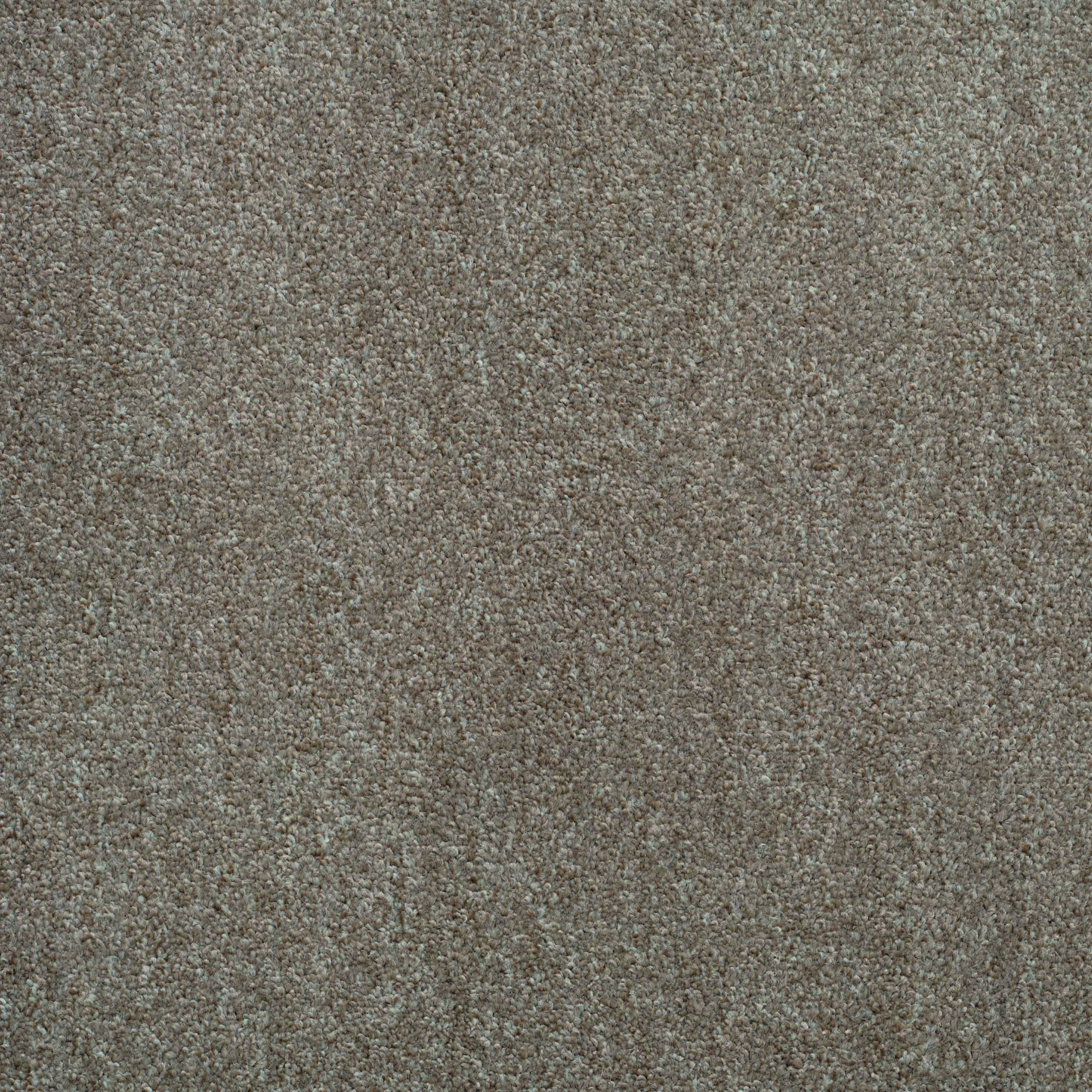 sandstone
