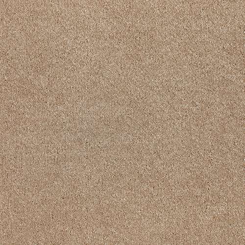 tropical sand