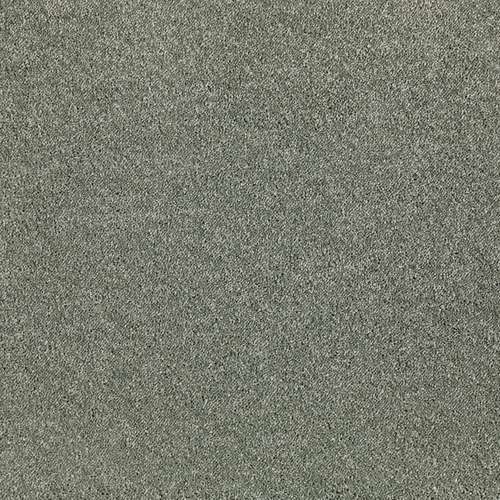 sage tint