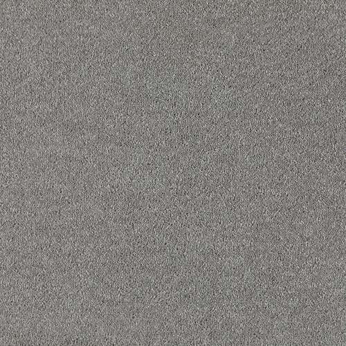 shark skin