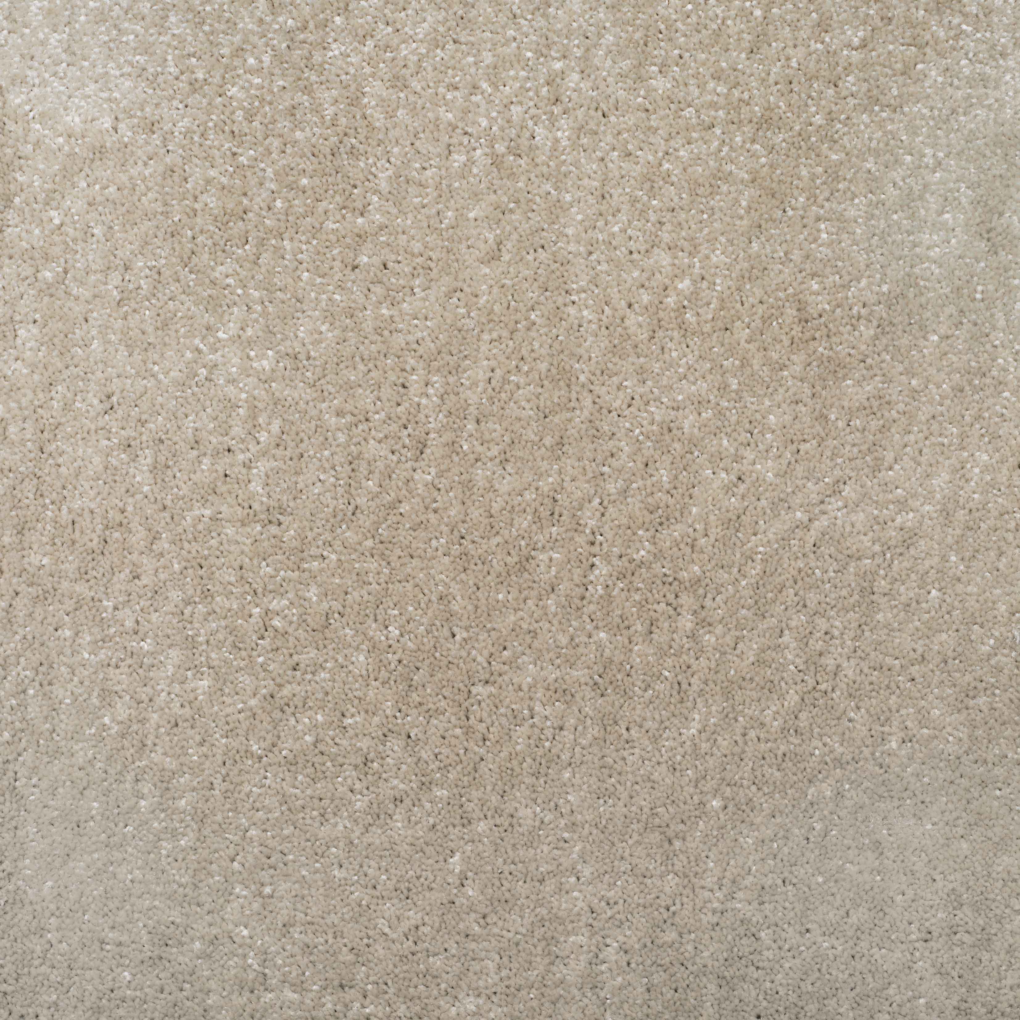 winter white